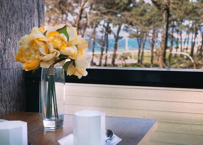 Apartment Calma En Primera Linea De Playa By